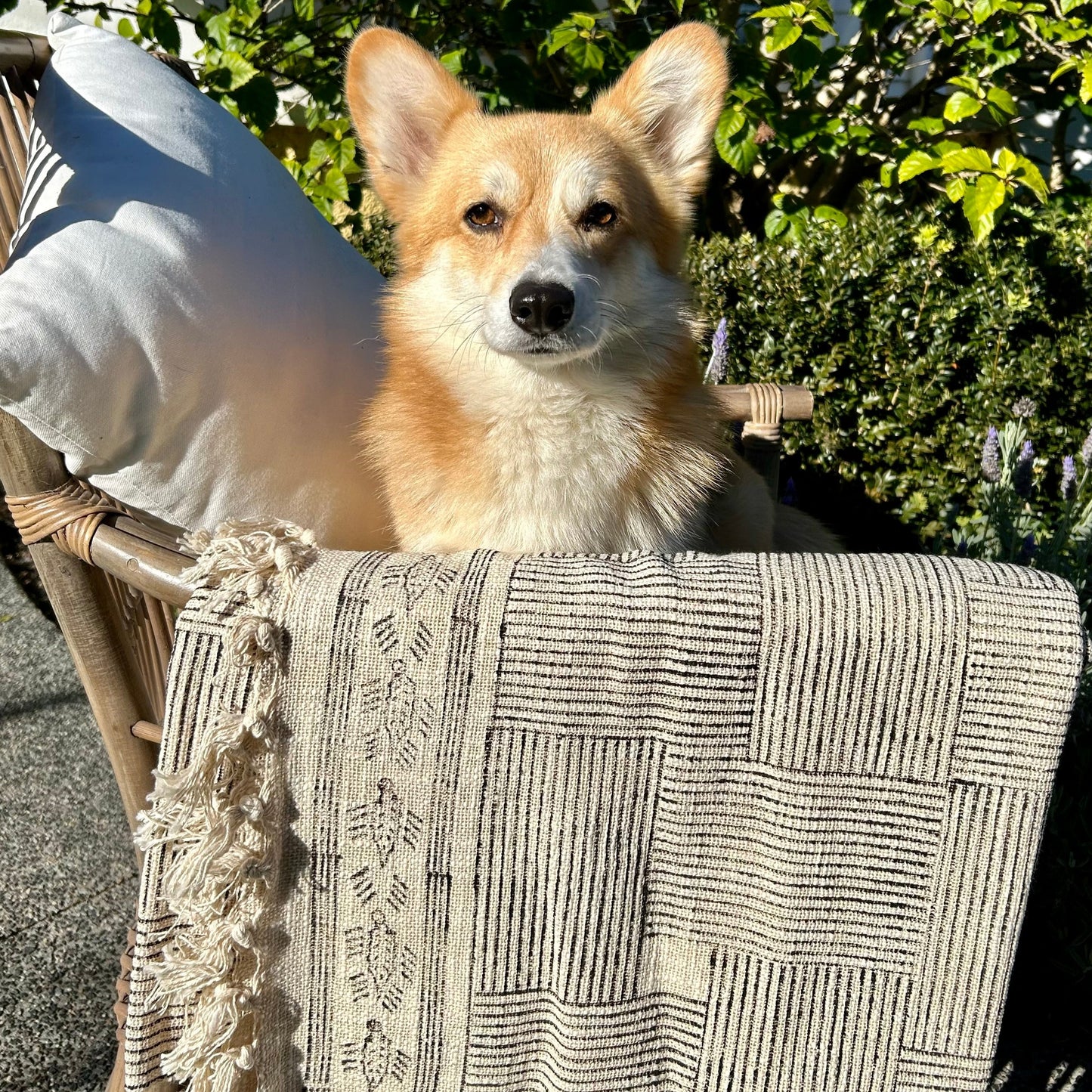 Striped Cotton Throw with tassels