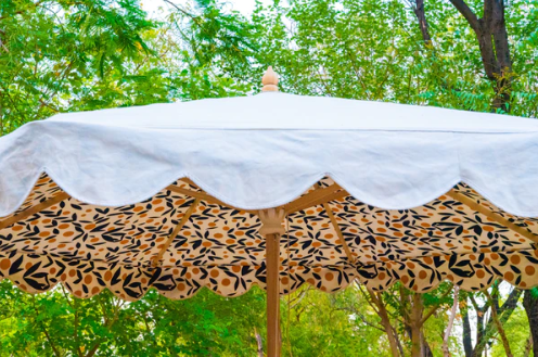 Parasol Daliah