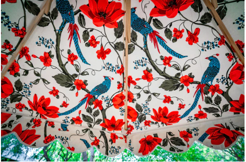 Parasol Floral