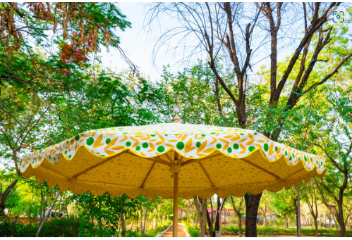 Parasol Meadow