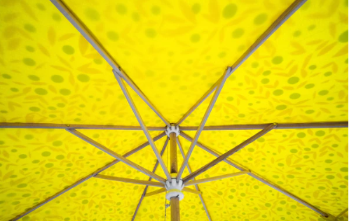 Parasol Meadow
