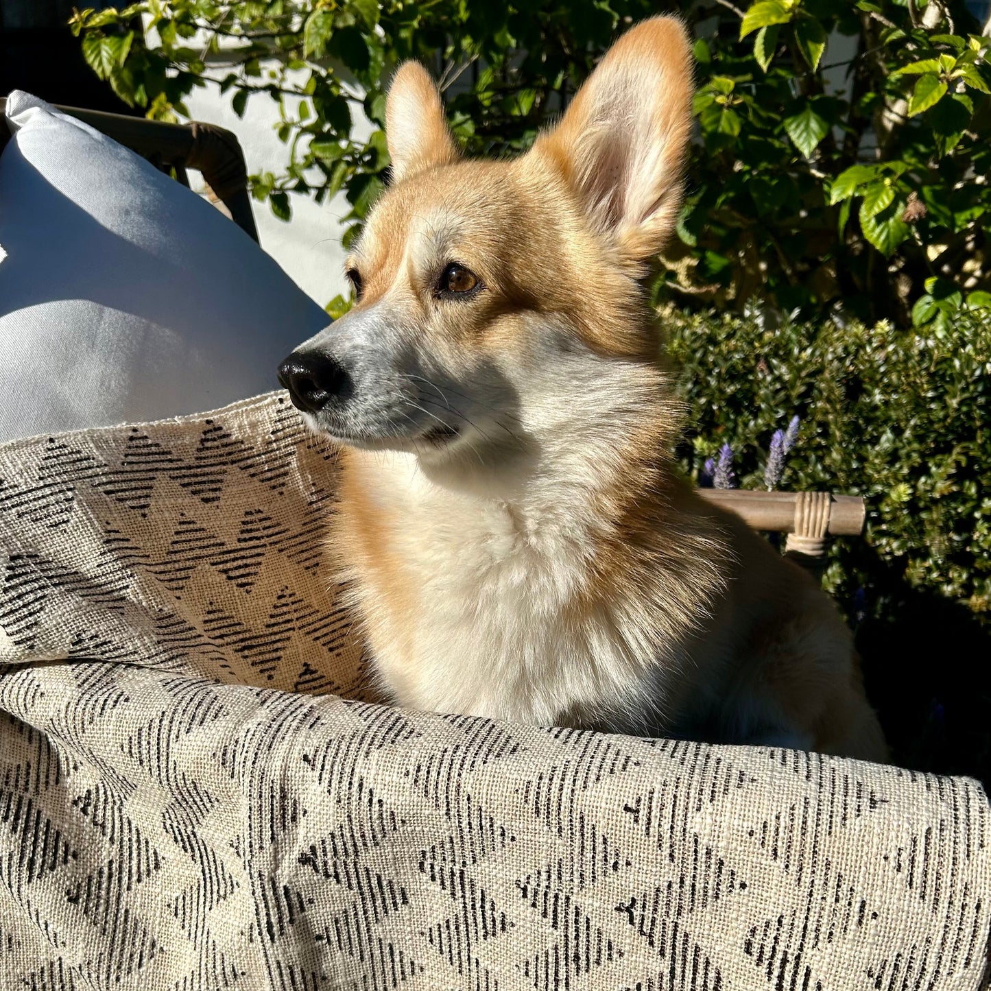 Herringbone Cotton Throw with tassels