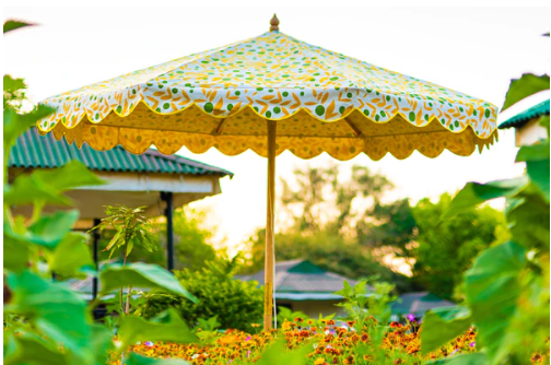 Parasol Meadow